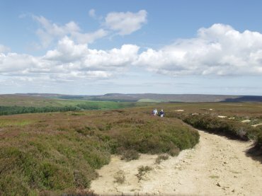 View on Baysdale Moor, North Yorkshire, England