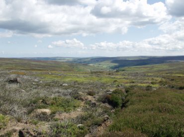 Photograph of Baysdale Moor, North Yorkshire, England