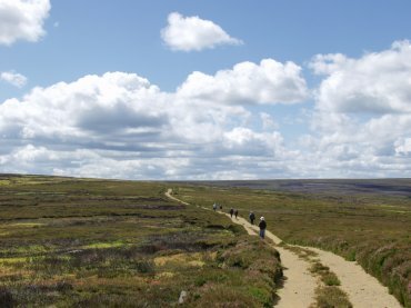 Photograph of Baysdale Moor, North Yorkshire, Great Britain