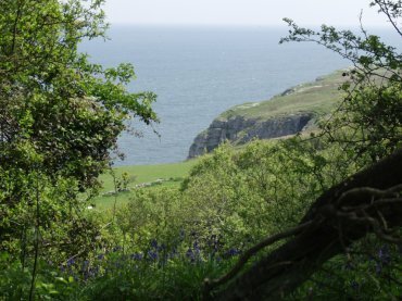 Photo on the Great Orme, Llandudno, Gwynedd, Snowdonia, North Wales