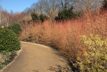 View of the Winter Garden, Anglesey Abbey, Lode, Cambridgeshire, England