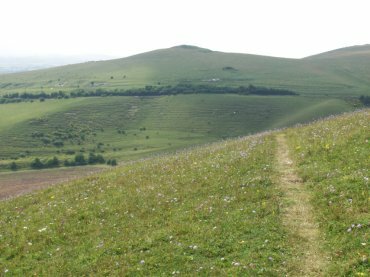 Scene showing Pewsey Down from Knap Hill, Marlborough, Wiltshire (Wilts), England