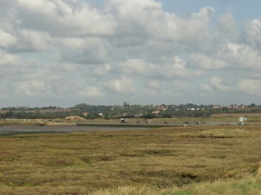 Picture of the Essex Marshes, Mersea Island, Essex, England