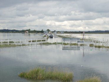 Photos - the road to Mersea Island, Essex, England