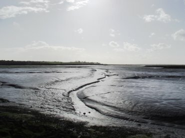 Picture of the Essex Marshes at low tide, Mersea Island, Essex, England