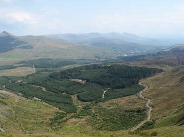 Scene showing Beddgelert Forest, Beddgelert, Snowdonia, Caernarvonshire (Gwynedd), Wales