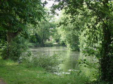 Photograph of the River Wensum from the riverside walk, Norwich, Norfolk, England