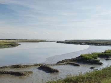 View of the Essex Marshes at Salcott, Essex, England