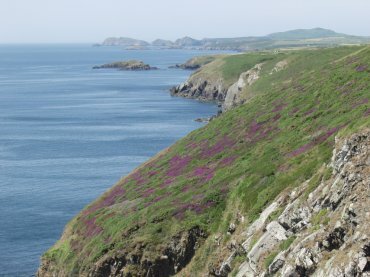 Solva, Pembrokeshire coast, St. David's, Pembrokeshire, Wales