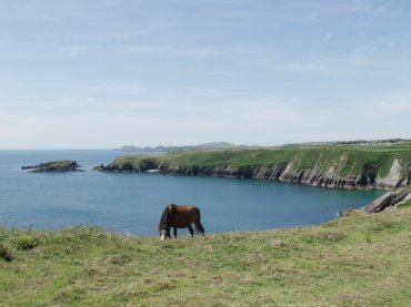 Solva, Pembrokeshire, Wales