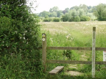 Photograph of a simple stile