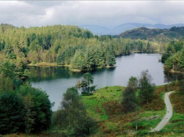 Photo of Tarn Hows, Coniston, Cumbria, England, Great Britain