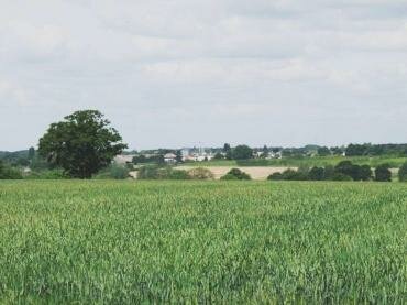 Scene showing Tiptree across the fields, Essex, England