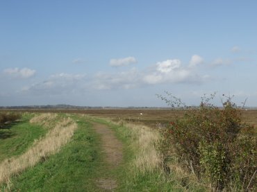 Picture of the Essex Marshes at Tollesbury, Essex, England