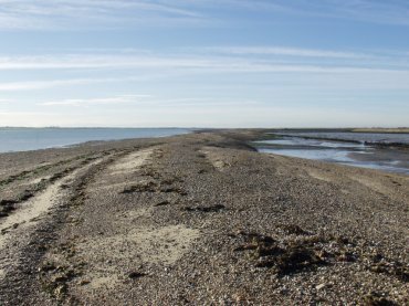 Picture of the shingle bank, Shinglehead Point, Tollesbury, Essex, England