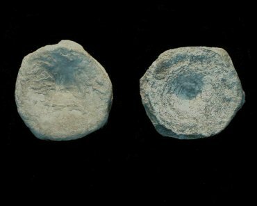 Photograph of Ichthyosaur vertebrae form the Upper Lias shales at Robin Hood's Bay, North Yorkshire, England