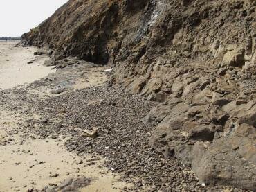 Fossilised wood, phosphatic nodules and other fossils washed out of the London Clay, Walton-on-the-Naze, Essex, England