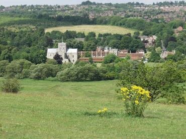 Scene showing St. Cross Hospital from St. Catherine's Hill, Winchester, Hampshire (Hants), England