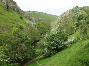 Picture of Wolfscote Dale, Hartington, Derbyshire Peak District