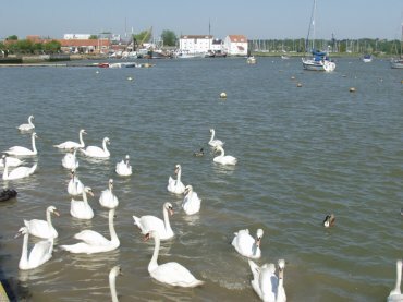 Photograph of the River Deben, Woodbridge, Suffolk, England, Great Britain