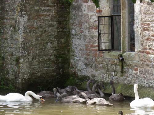 Wells