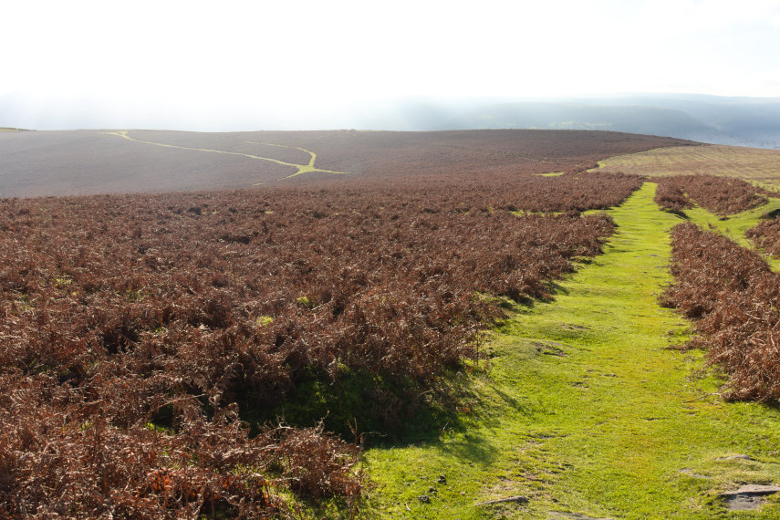 A path on the Sugar Loaf, Abergavenny, Monmouthshire