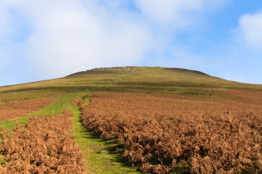 The path near the top of the Sugar Loaf, Abergavenny, Monmouthshire