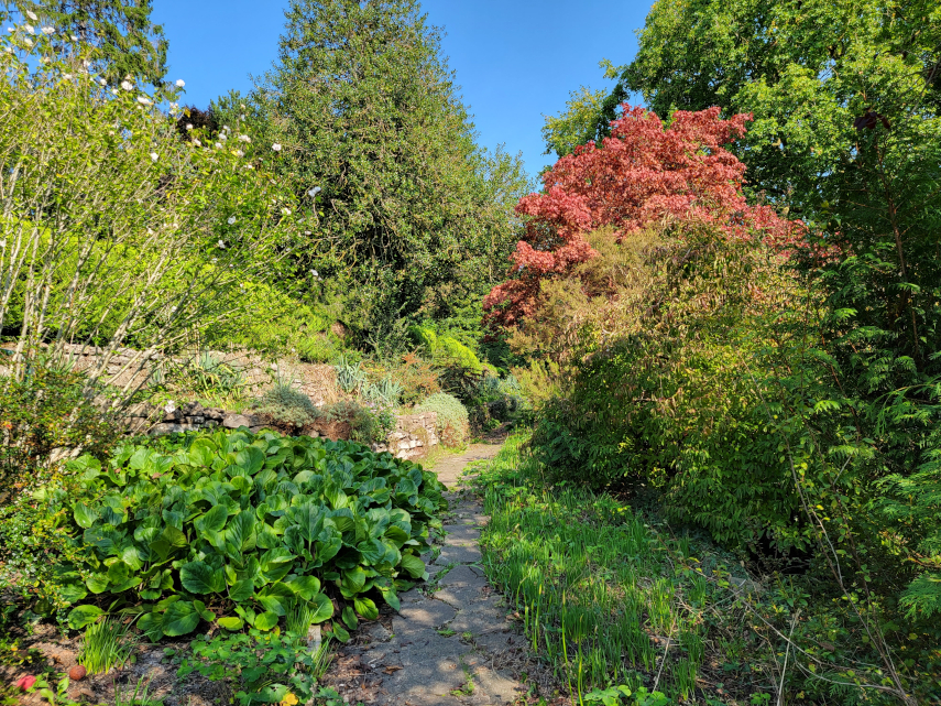 A narrow path, Linda Vista Gardens, Abergavenny, Monmouthshire