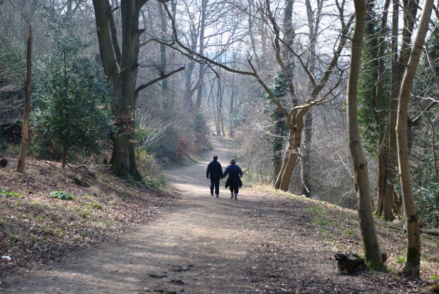 Walkers on Ashridge, Aldbury, Hertfordshire, England, Great Britain