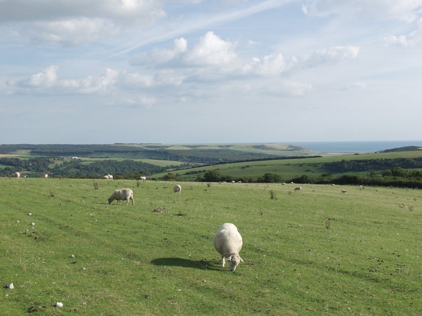 The South Downs, Alfriston, Sussex, England, Great Britain