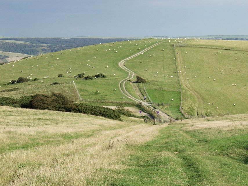 The Firle Beacon Ridge, Sussex, England, Great Britain