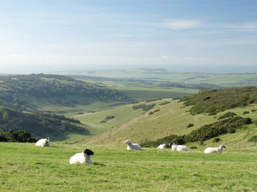 Scene showing the view from Windover Hill, South Downs, Sussex, England - Landscapes