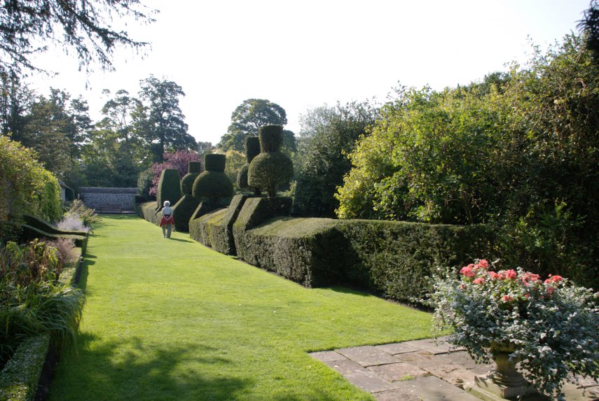 Topiary, Avebury Manor Gardens, Avebury, Wiltshire, England