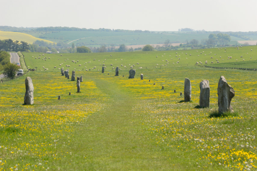 The West Kennett Avenue, Avebury, Wiltshire, England
