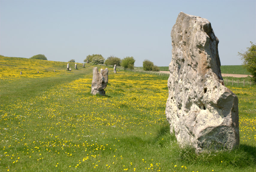 The West Kennett Avenue, Avebury, Wiltshire, England
