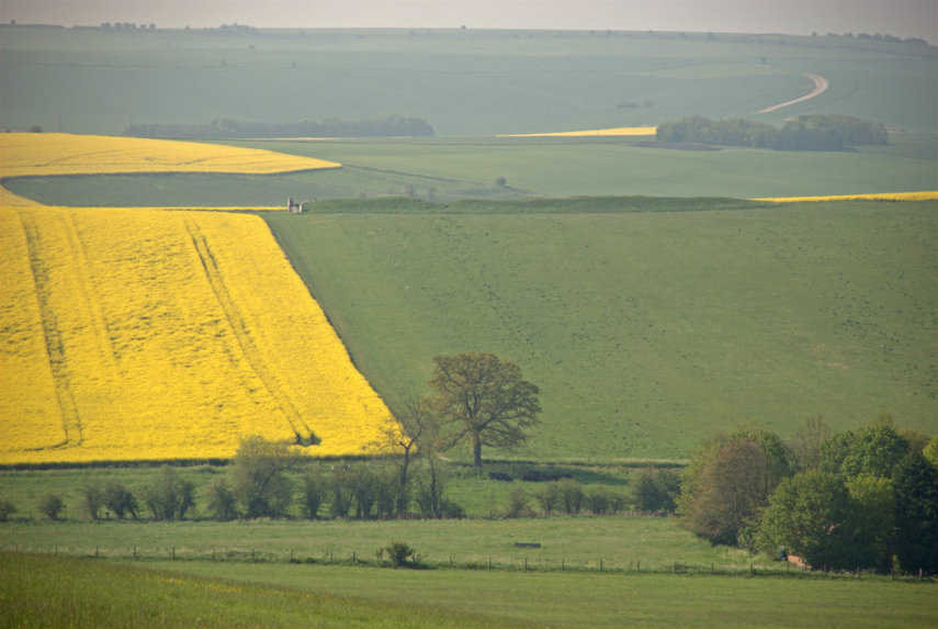 West Kennett Long Barrow from Waden Hill, Avebury, Wiltshire, England, Great Britain