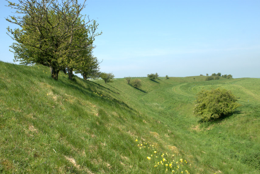 The Wansdyke, Pewsey, Wiltshire, England, Great Britain