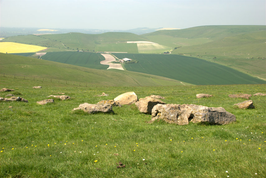 Sarson Stones on Milk Hill, Pewsey, Wiltshire, England, Great Britain