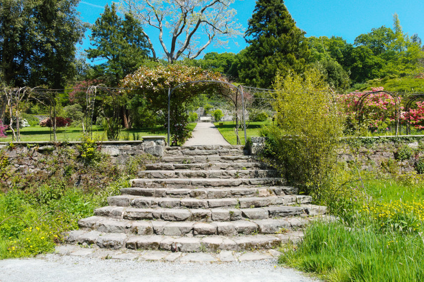 Steps up from the Bog Garden, the Gardens, Penrhyn Castle, Bangor, Caernarfonshire, Wales, Great Britain
