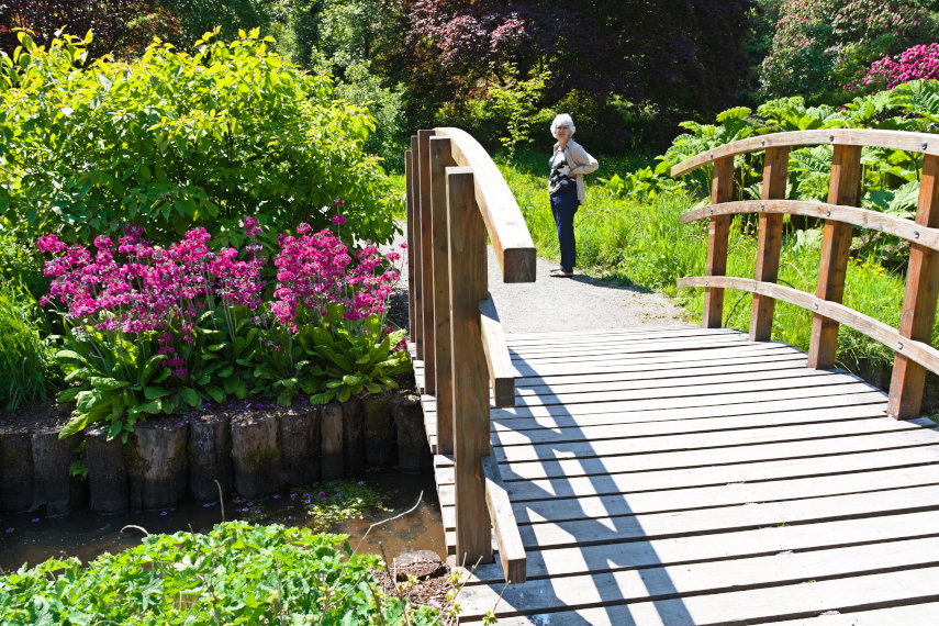 The Bog Garden Bridge, the Gardens, Penrhyn Castle, Bangor, Caernarfonshire, Wales, Great Britain