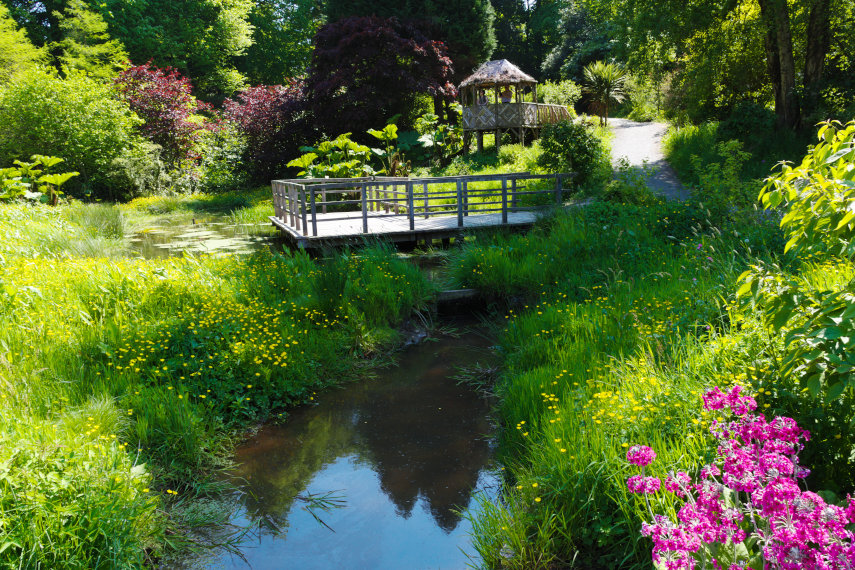 The Bog Garden and Viewing Platform, the Gardens, Penrhyn Castle, Bangor, Caernarfonshire, Wales, Great Britain