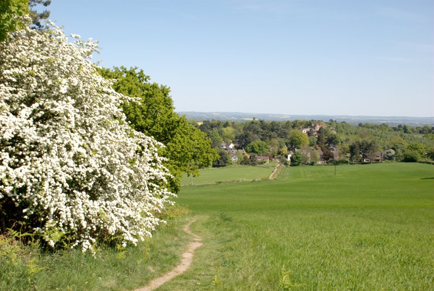 Descending Broombriggs Hill, Charnwood Forest, Leicestershire, England, Great Britain