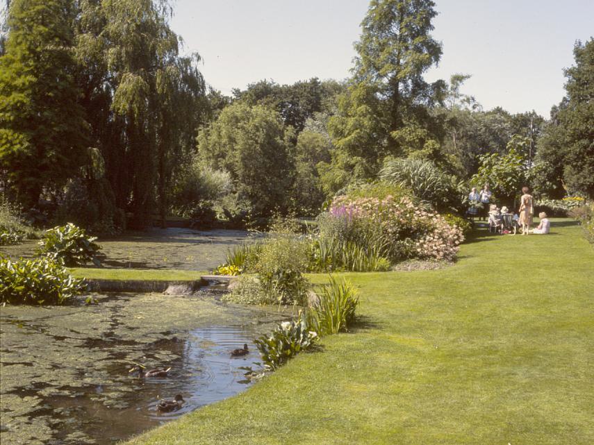 Beth Chatto's Gardens, Elmstead Market, Colchester, Essex, England, Great Britain