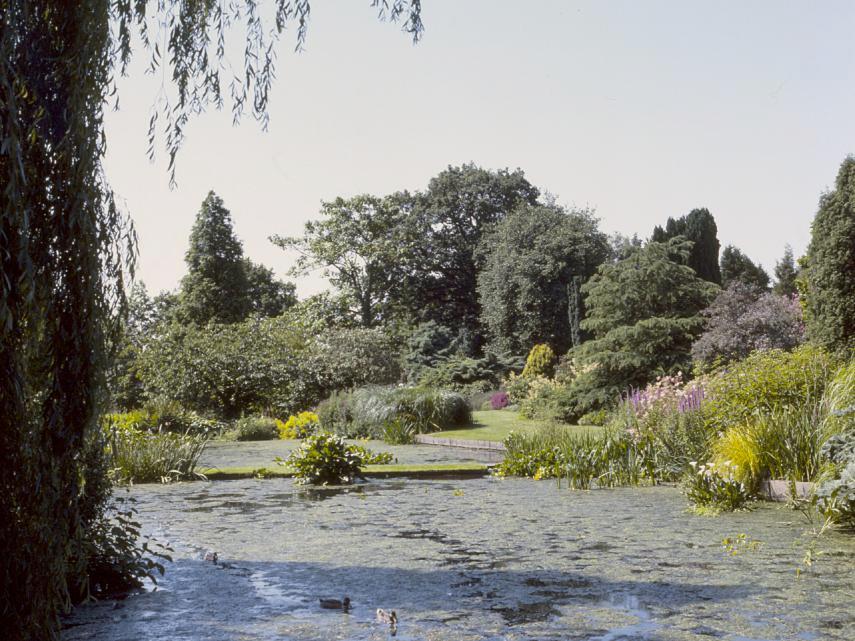 A Pond, Beth Chatto's Gardens, Elmstead Market, Colchester, Essex, England, Great Britain