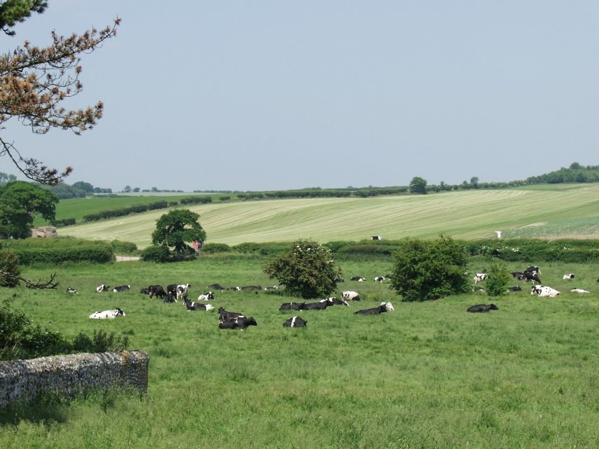 The view from the Ruins, Binham Priory, Binham, Norfolk, England, Great Britain