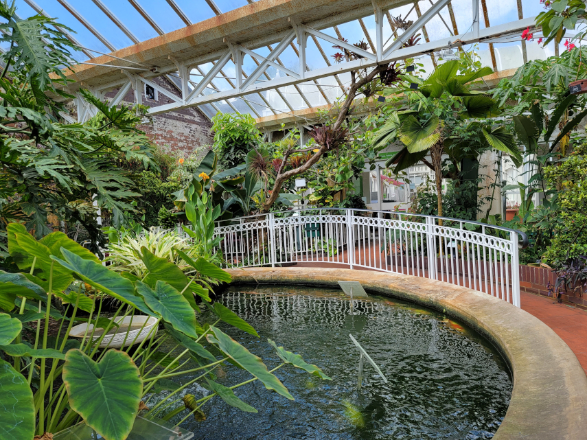 The Glasshouses, Birmingham Botanical Gardens, Birmingham, Warwickshire