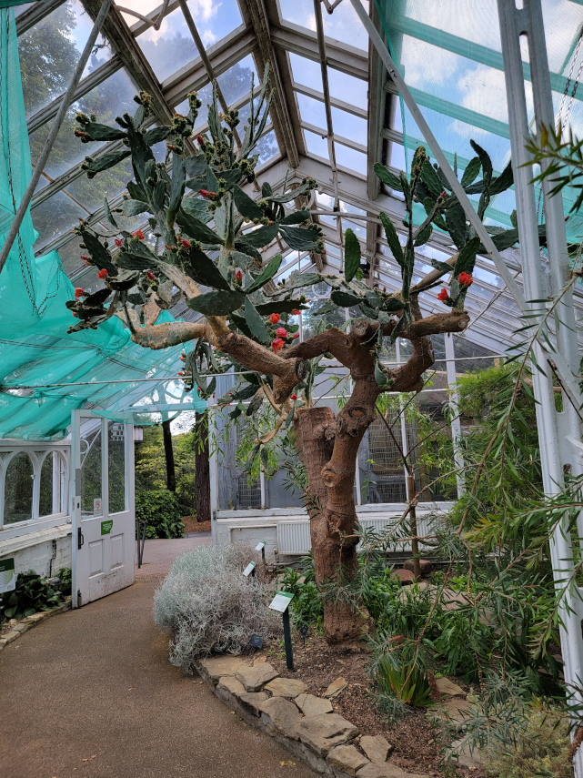 Glasshouses, Birmingham Botanical Gardens, Birmingham, Warwickshire