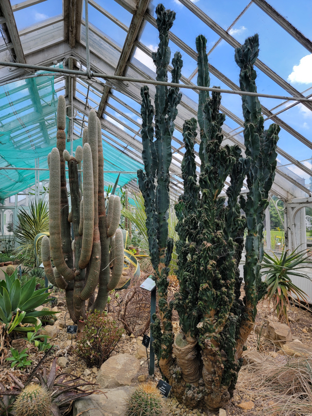 Glasshouses, Birmingham Botanical Gardens, Birmingham, Warwickshire