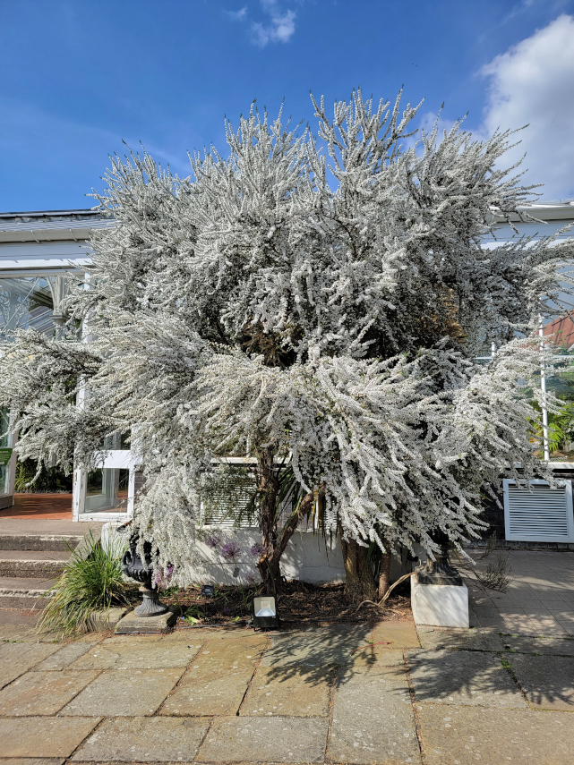 Birmingham Botanical Gardens, Birmingham, Warwickshire