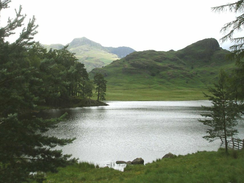 Picture of Blea Tarn, Great Langdale, Cumbria, England, Great Britain